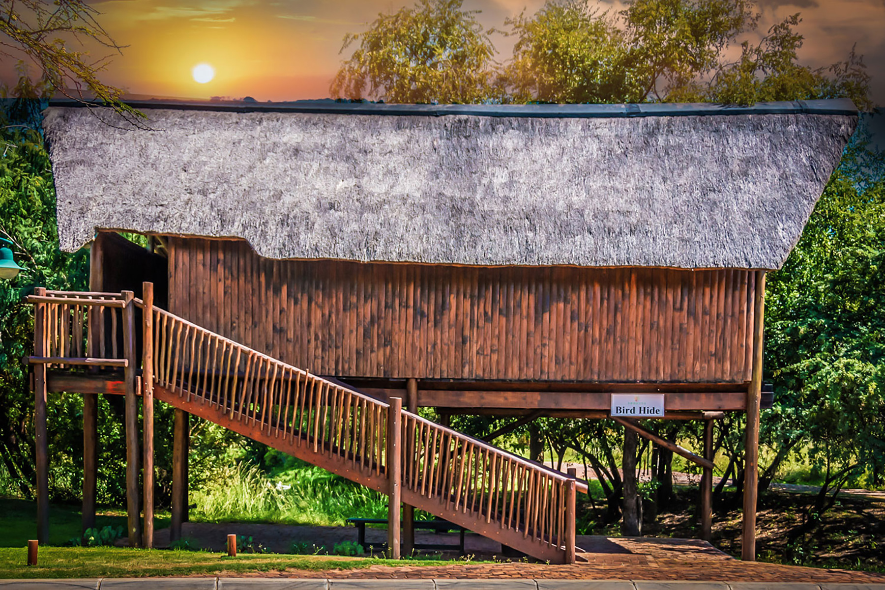 Bird Hide