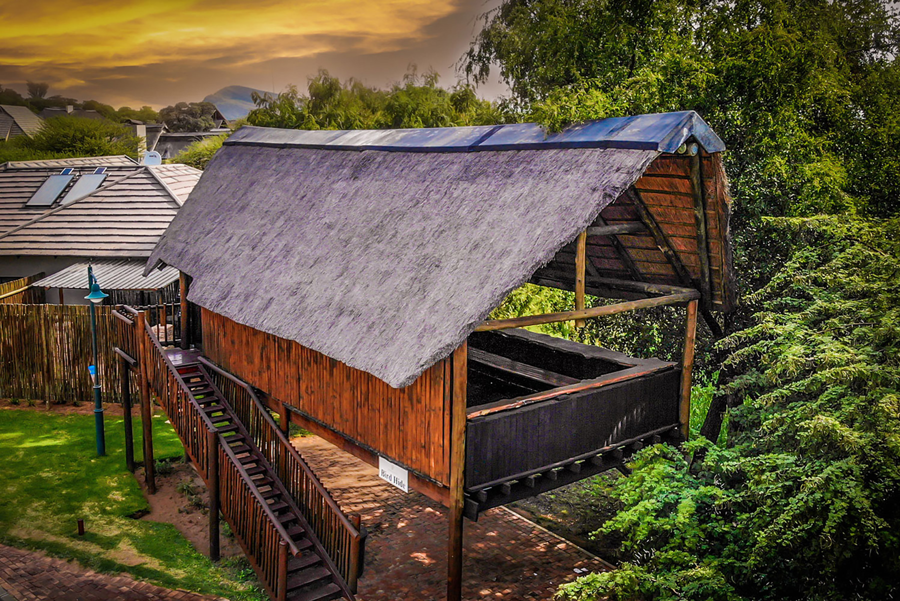 Bird Hide